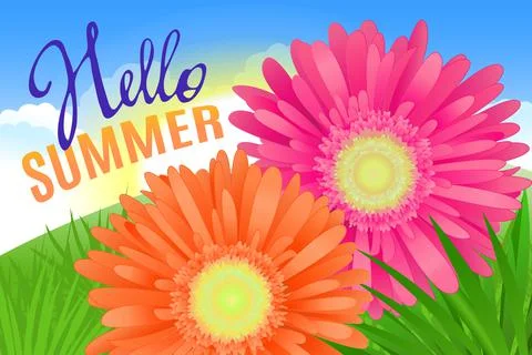 Hello Summer Lettering and Realistic Gerbera Flowers Summer background design Stock Illustration