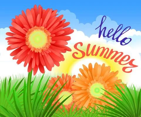 Hello Summer Lettering and Realistic Gerbera Flowers Summer background design Stock Illustration