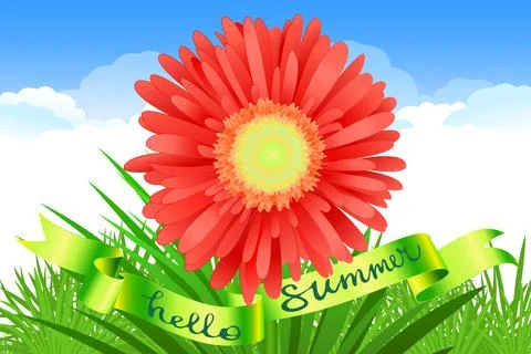 Hello Summer Lettering and Realistic Gerbera Flower. Summer background design Stock Illustration