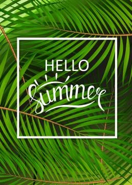 Hello Summer Natural Background Vector Illustration Stock Illustration