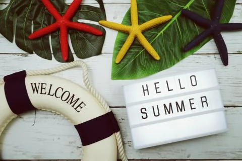 Hello Summer text in light box with green leave, starfish and lifebuoy decora Stock Photos