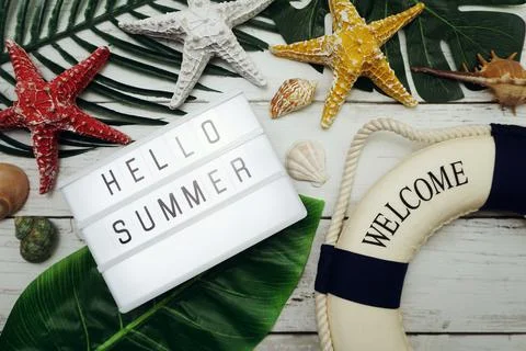Hello Summer text in light box with green leave, starfish and lifebuoy decora Stock Photos