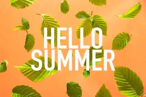Hello summer written on peach background with leaves. Stock Photos