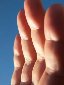 Hello sun Stock Photos