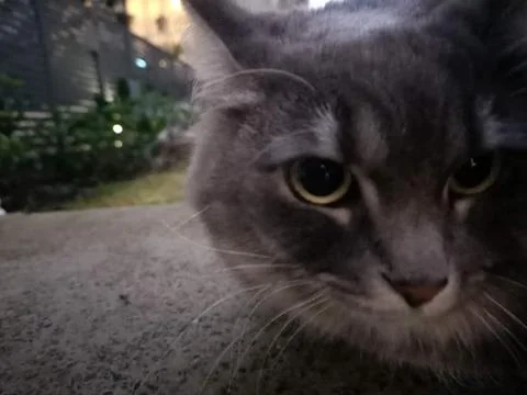 Hello there! Stock Photos