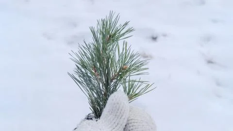 Hello winter concept Stock Photos