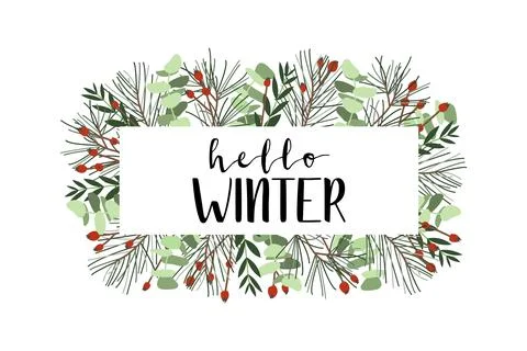 Hello winter. Frame with spruce, berries and eucalyptus. Winter illustration  Stock Illustration