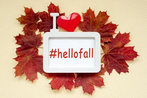 Hellofall, text in frame with red maple leaves on pastel yellow background. Stock Photos