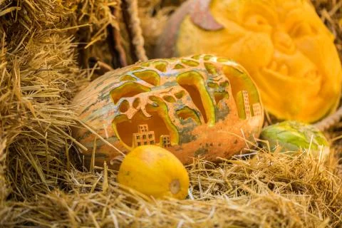 Helloween pumpkin Stock Photos