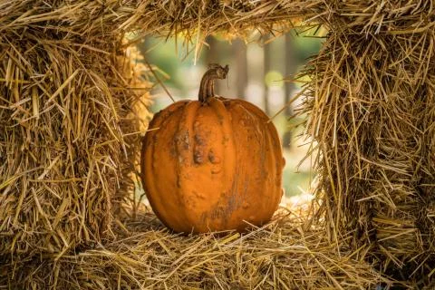 Helloween pumpkin Stock Photos