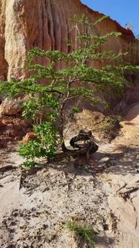 Hells Kitchen Canyon of Marafa in Keyna Stock Photos