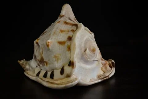 Helmet Shell Stack Stock-Fotos