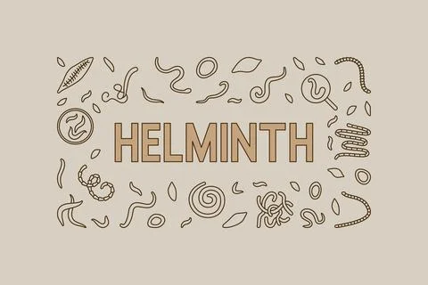Helminth vector concept creative horizontal banner or illustration Stock Illustration