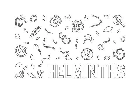 Helminths vector concept minimal horizontal illustration or banner 库存插图