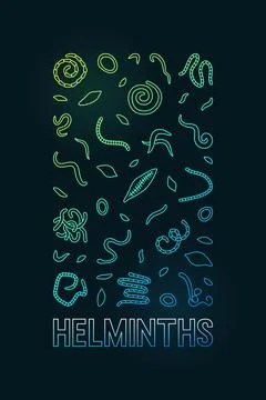 Helminths vector concept outline vertical colorful illustration or Banner Stock Illustration