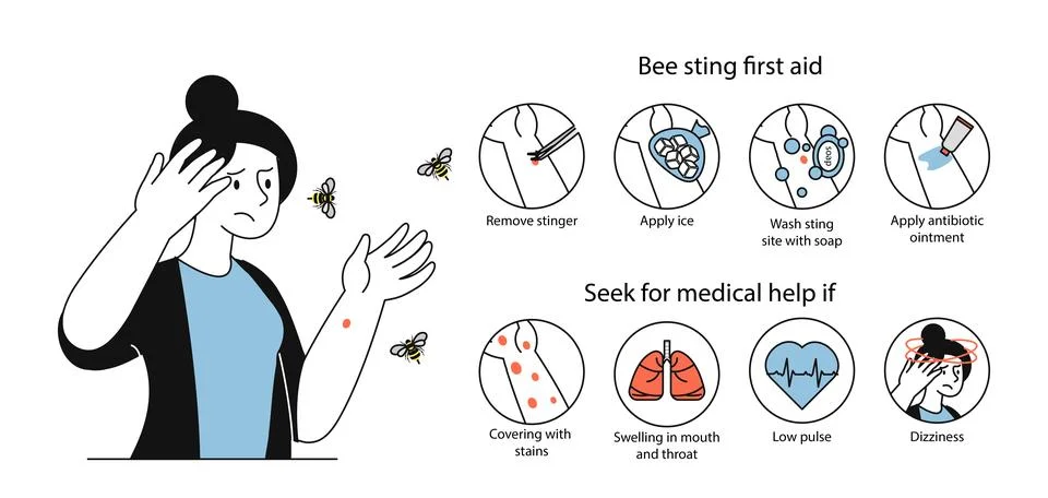 Help bee sting first aid vector linear Stock Illustration