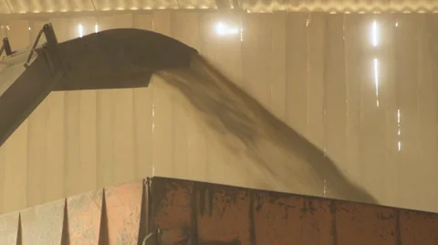 With help of a conveyor grain rises up and falls out in a body for transport Stock Footage 63997750