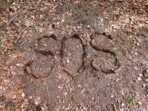 Help for the forest, Stock Photos