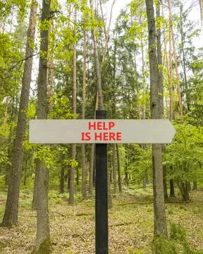 Help is here and support words symbol. Concept words Help is here on beauti.. 写真素材