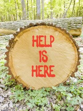 Help is here and support words symbol. Concept words Help is here on beauti.. 写真素材