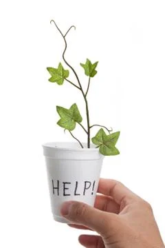 Help Stock Photos
