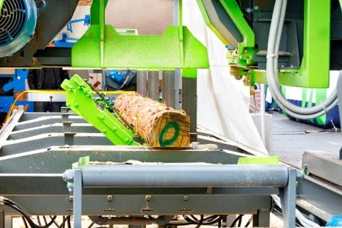 With the help of special hooks on a modern woodworking sawmill, the log is au Stock-Fotos