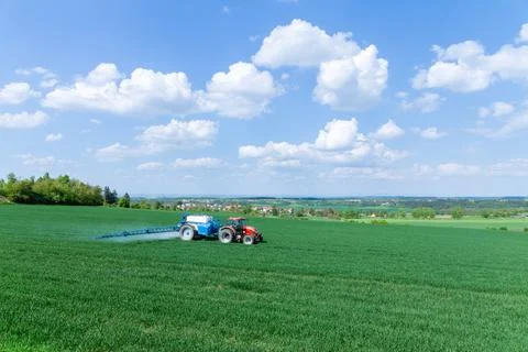 With the help of a tractor, wheat is sprayed with fertilizers or herbicides in Stock Photos