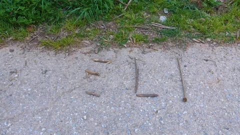 Help Word Spelt With Twigs on the Ground Stock Footage 122241242
