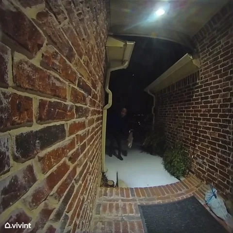 Helping The Dasher Down Icy Driveway, Frisco, Texas, USA - 29 Jan 2026 Stock Footage 328550187