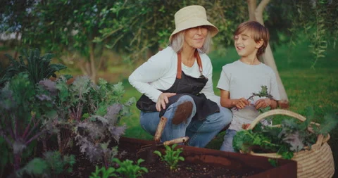 Helping Grandma in the Garden Stock Footage 171093531
