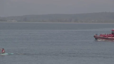 Helping guard in sea Stock Footage 154517764