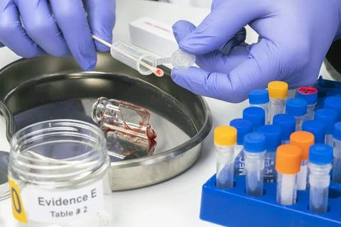 Hematological analysis with forensic test kit in a murder in a crime lab, con Stock Photos