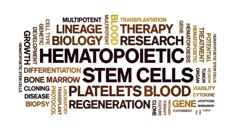 Hematopoietic Stem Cells animated word cloud,animation typography seamless loop Stock Footage 327589053