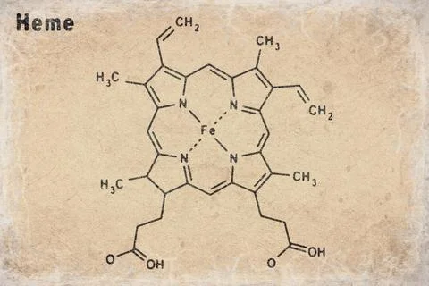 Heme molecule Structural chemical formula Stock Photos