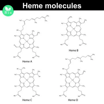 Heme molecule structure Stock Illustration