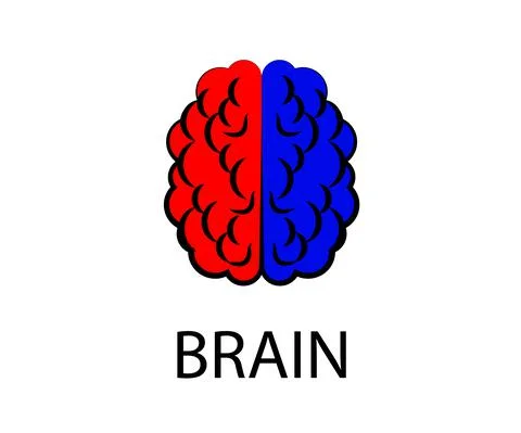 Hemispheres of the human brain on a white background. Symbol. Stock Illustration