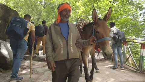 Hemkund sahib Vídeo Stock 196306100