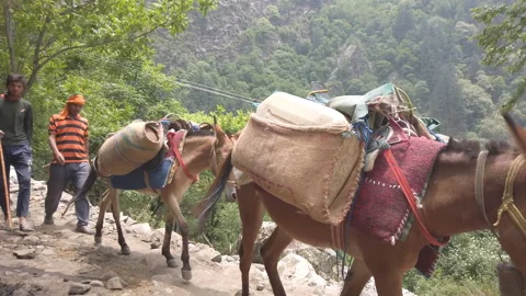 Hemkund Sahib Trek Stock Footage 196306372