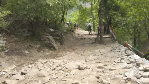 Hemkund Sahib Trek Видео 196308768