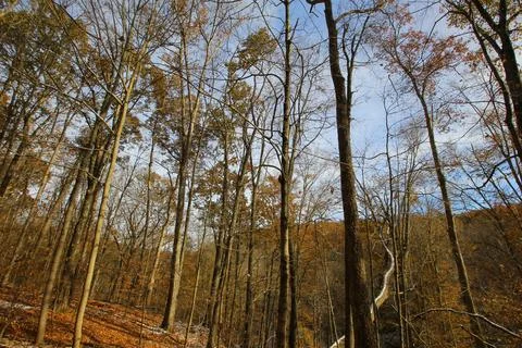 Hemlock Cliffs, Indiana Stock Photos