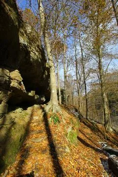 Hemlock Cliffs, Indiana Stock Photos