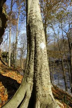 Hemlock Cliffs, Indiana Stock Photos