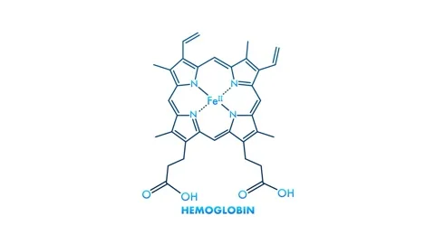 Hemoglobin and Heme Molecules Rotating on White and Green Screen Stock Footage 314969505
