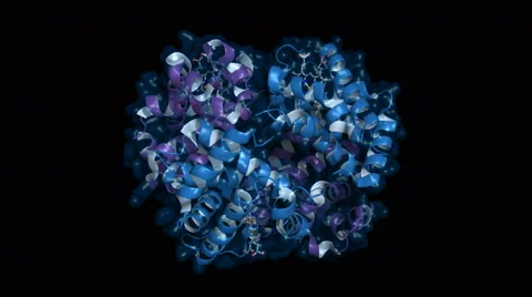 Hemoglobin protein, rotating cartoon model 스톡 동영상 61495818