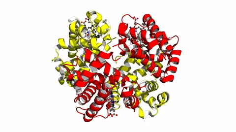 Hemoglobin protein, rotating cartoon model Stock Footage