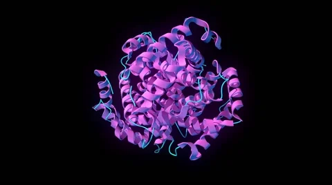 Hemoglobin, ribbon model Video stock 64857009