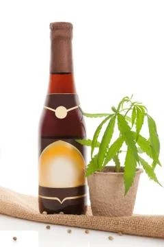 Hemp beer. Stock Photos