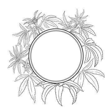 Hemp Branch Outline Round Frame. Stock-Illustration