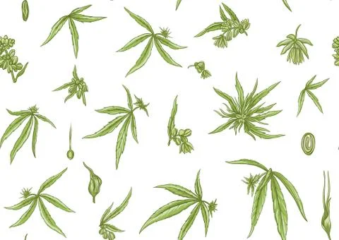 Hemp, Cannabis seamless pattern, background. Stock Illustration