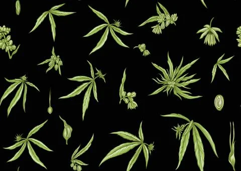 Hemp, Cannabis seamless pattern, background. Stock Illustration